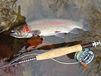 rdp flyrods pic